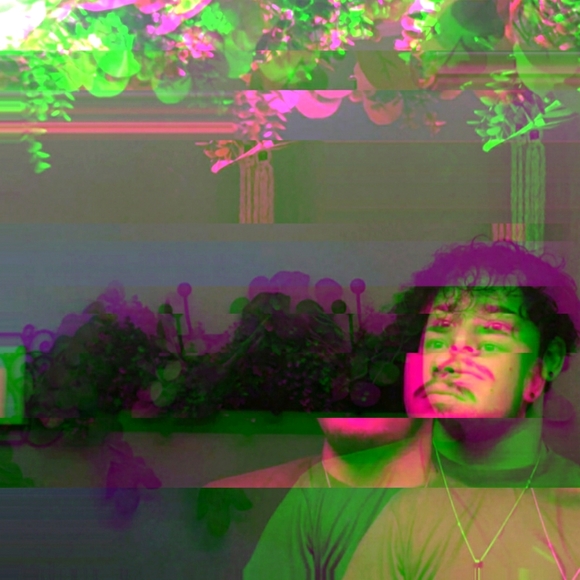 Meet your Posher, Jojo - Picture 1 of 1